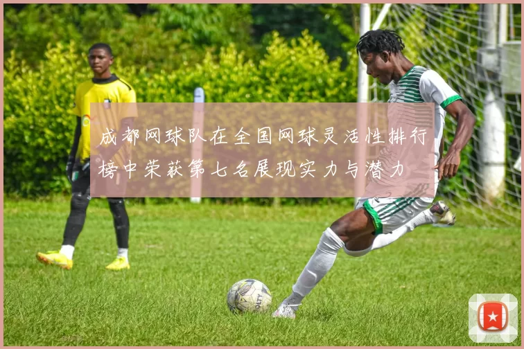 成都网球队在全国网球灵活性排行榜中荣获第七名展现实力与潜力